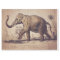 Elephant Tissue or Decoupage Paper