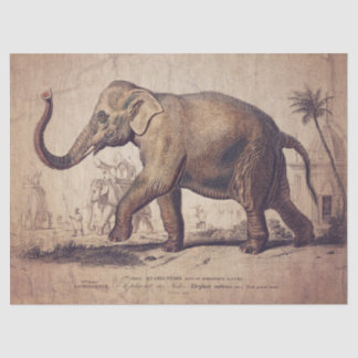 Elephant Tissue or Decoupage Paper