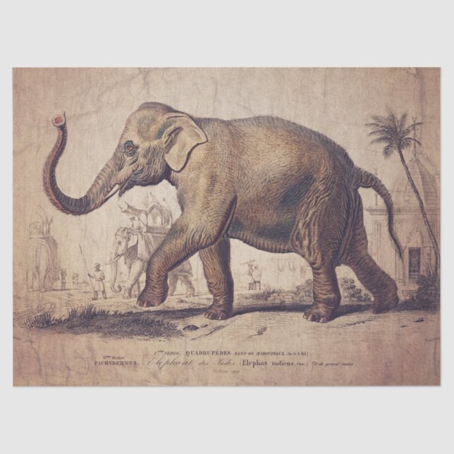 Elephant Tissue or Decoupage Paper (Front)