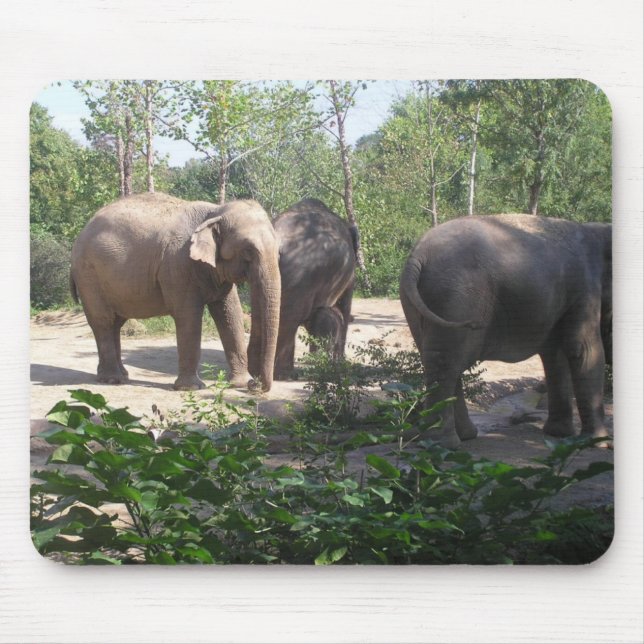 Elephant Trio Mousepad (Front)