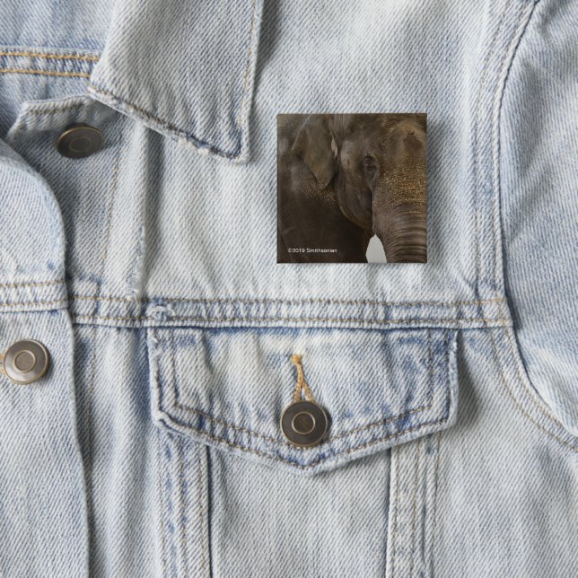 Elephant Up-Close 15 Cm Square Badge (In Situ)