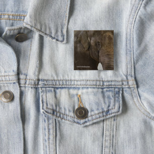 Elephant Up-Close 15 Cm Square Badge