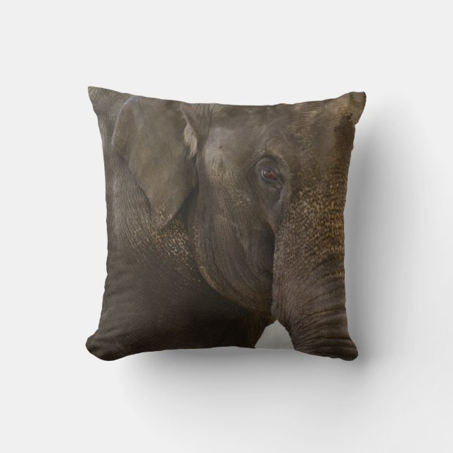 Elephant Up-Close Cushion (Front)