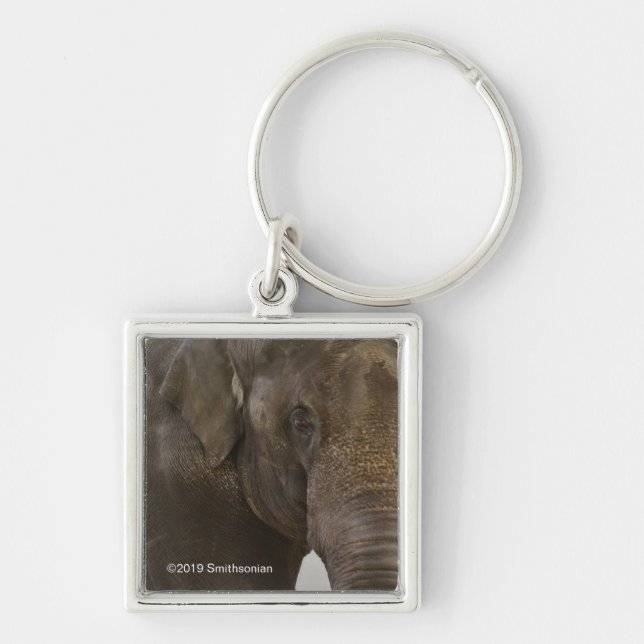 Elephant Up-Close Key Ring (Front)