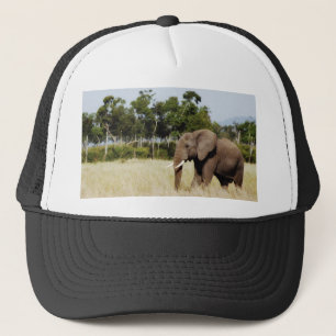 Elephant walking Masai Mara Plains Kenya hat
