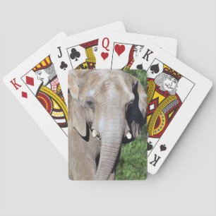 Elephant Walking Playing Cards