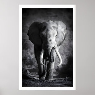 Elephant Wall Art Minimalist Black & White