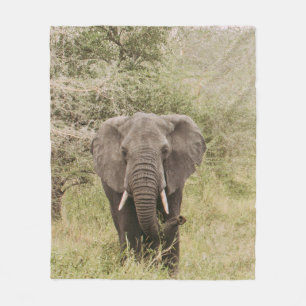 ELEPHANT WATCHING A TOUR CAR FLEECE BLANKET