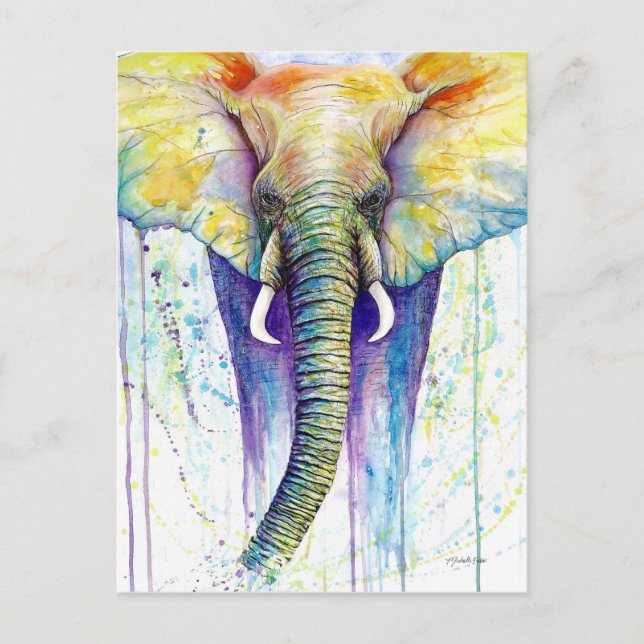 Elephant watercolor art postcard (Front)