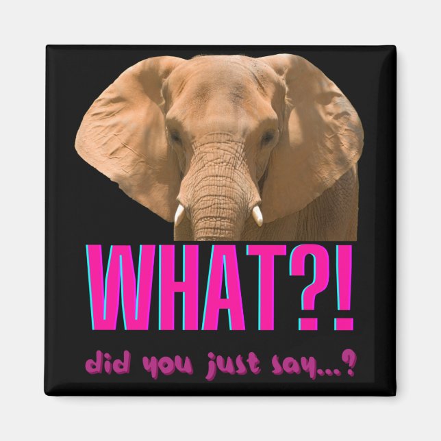 Elephant What Did You Just Say? Magnet (Front)