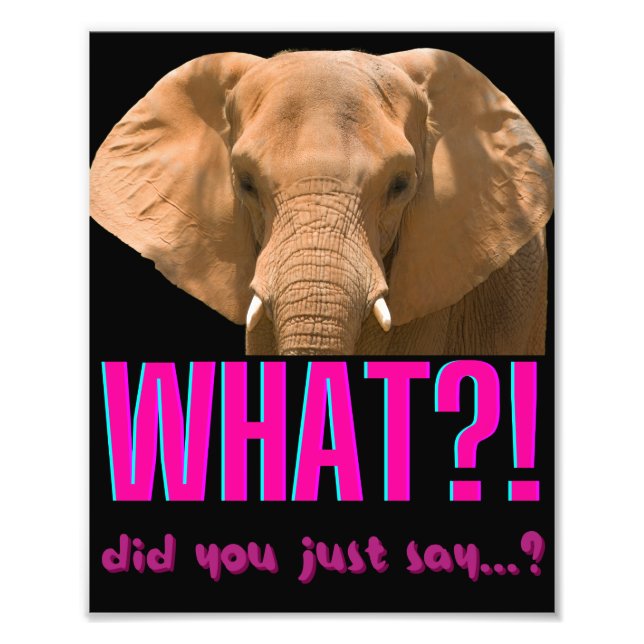 Elephant What Did You Just Say? Photo Print (Front)