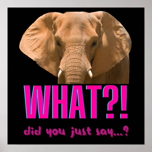 Elephant What Did You Just Say? Poster (Front)