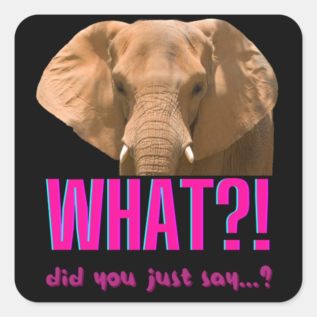 Elephant What Did You Just Say? Square Sticker (Front)