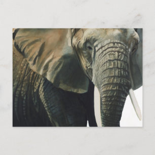 "Elephant" Wildlife Animal Watercolor Postcard
