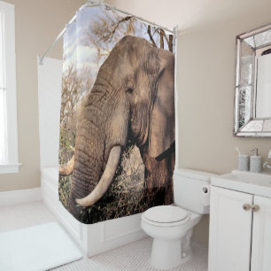 Elephant Wildlife Shower Curtain