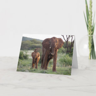 Elephant with Calf Card