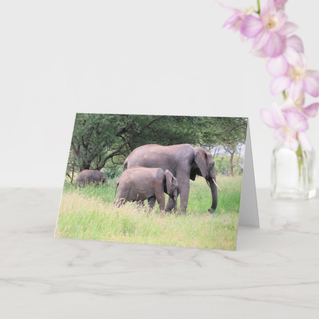 Elephant with Calves Wildlife Baby Animals Photo Card (Orchid)