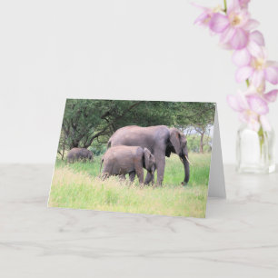 Elephant with Calves Wildlife Baby Animals Photo Card