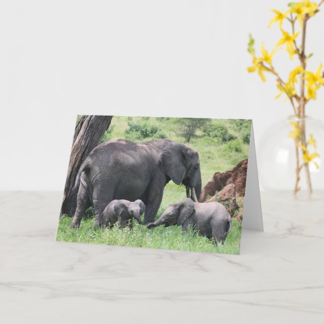 Elephant with Calves Wildlife Baby Animals Photo Card (Yellow Flower)