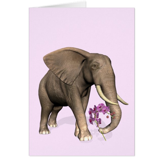 Elephant With Pink Orchid (Front)