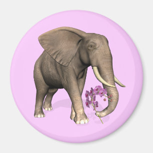 Elephant With Pink Orchid Magnet