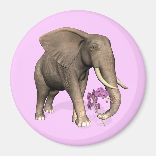 Elephant With Pink Orchid Magnet (Front)