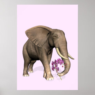 Elephant With Pink Orchid Poster
