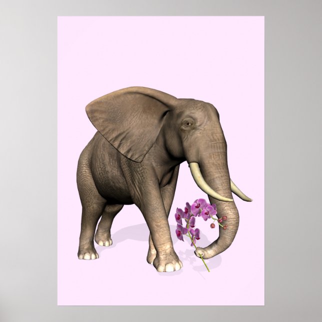Elephant With Pink Orchid Poster (Front)