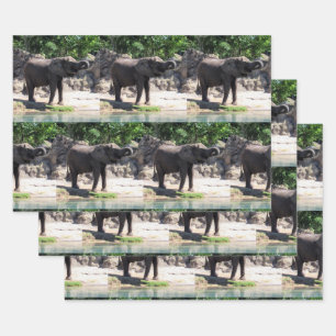 Elephant - Wrapping Paper Sheets