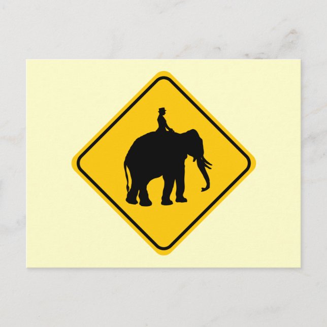 Elephantback Rider Crossing Postcard (Front)