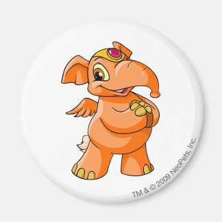 Elephante Orange Magnet