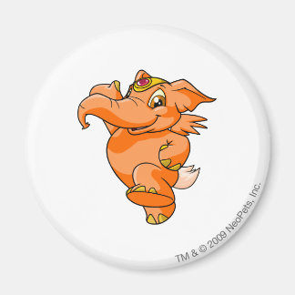 Elephante Orange Magnet
