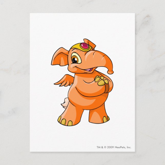 Elephante Orange Postcard (Front)