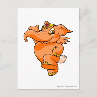 Elephante Orange Postcard