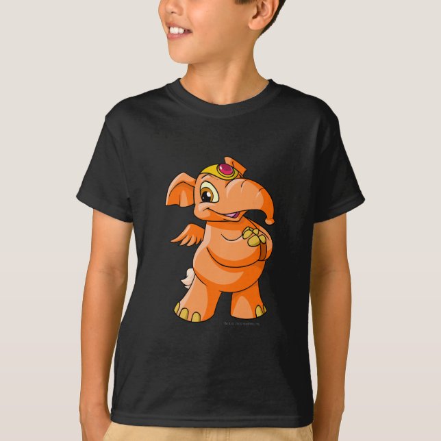 Elephante Orange T-Shirt (Front)