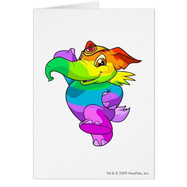 Elephante Rainbow (Front)