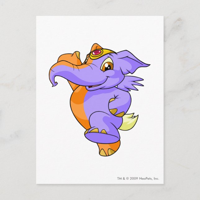 Elephante Split Postcard (Front)