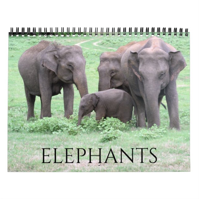 elephants 2026 calendar (Cover)