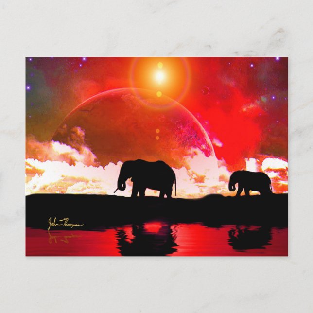 Elephants Among the Stars Post Card (Front)