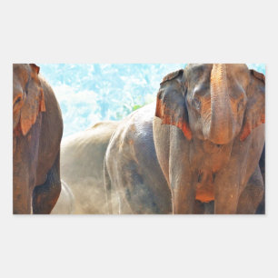 Elephants Animals Safari Destiny Peace Love Rectangular Sticker