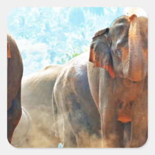 Elephants Animals Safari Destiny Peace Love Square Sticker