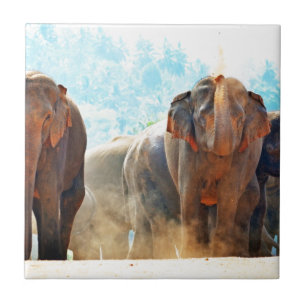 Elephants Animals Safari Destiny Peace Love Tile