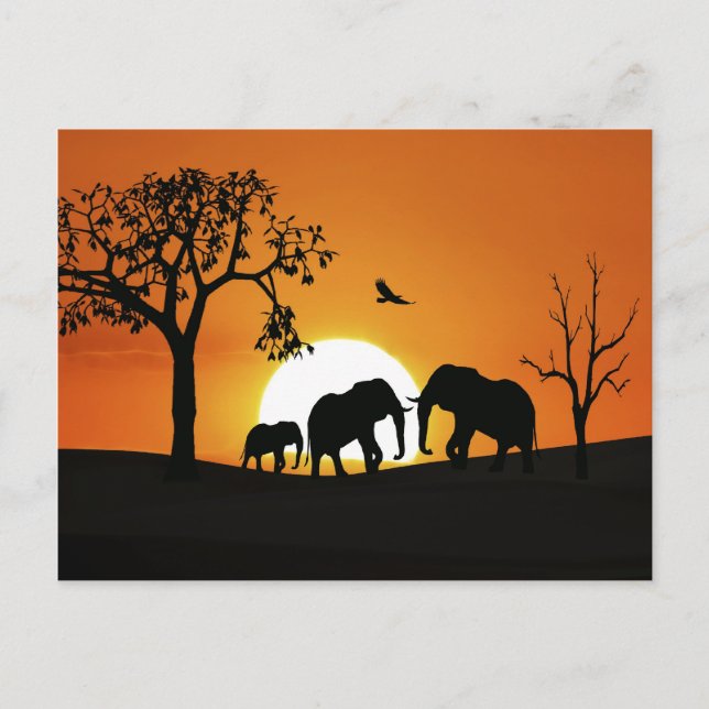 Elephants at sunset postcard (Front)
