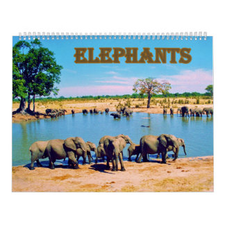 elephants  calendar