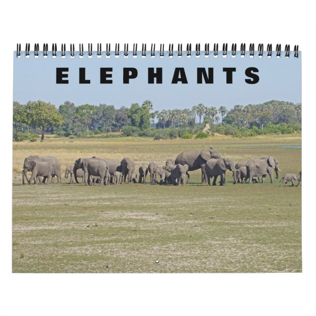 ELEPHANTS CALENDAR (Cover)