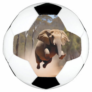 Elephants Can Jump, Soccerball Football
