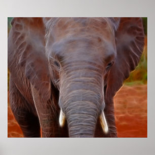 Elephants charge poster