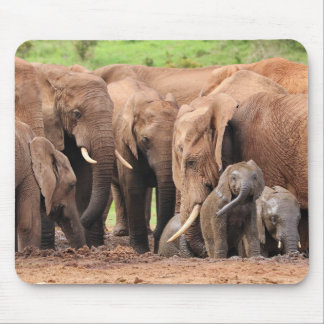 elephants cute mouse mat