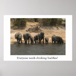 Elephants Drinking from Chobe River Poster