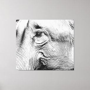 Elephants Eye, 2017 Canvas Print